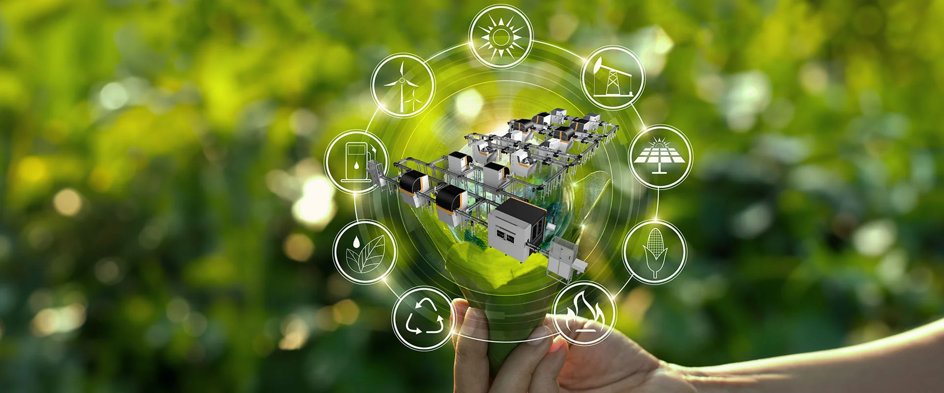 Digitized.lk Services